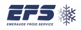 LOGO-EFS-PDF