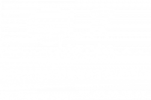 LR Jardin Blanc 2025